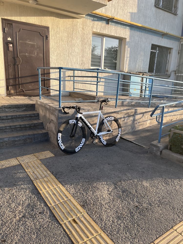 Fixed gear colossi low pro