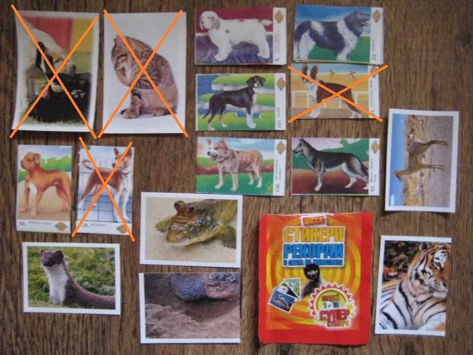 Картинки СпейсДжем Том Джери Екшън мен Покахонтас ваде