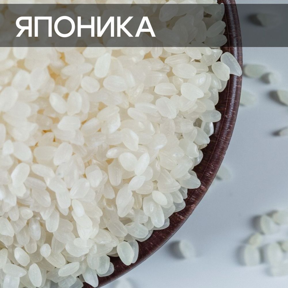 Черный рис и рис японика