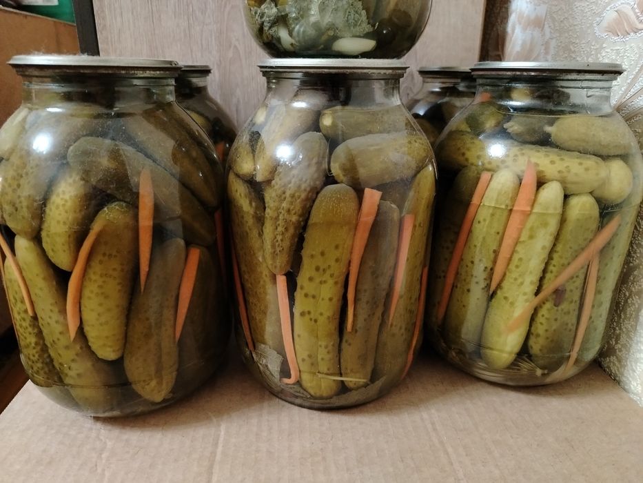 Огурцы домашние, маринованные, хрустящие