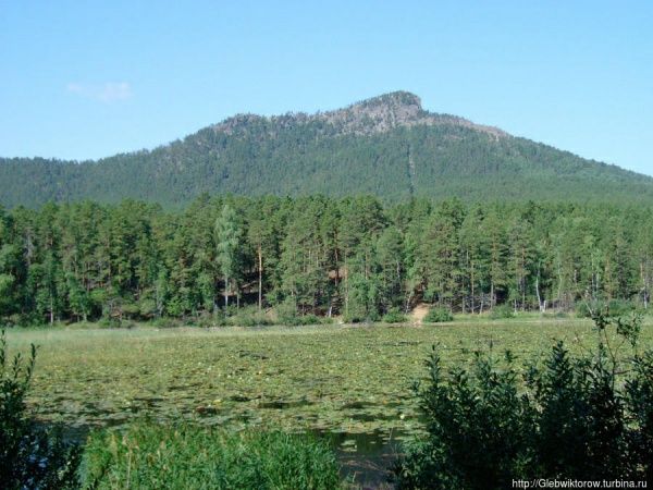 Продам земельный участок в Боровом 150 метров от Леса