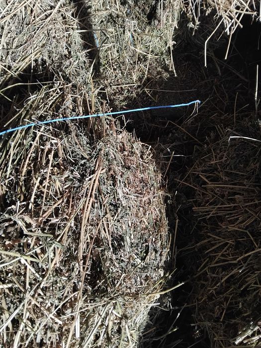 De vanzare peste 200 de baloti mici de lucerna vand si carata si ham