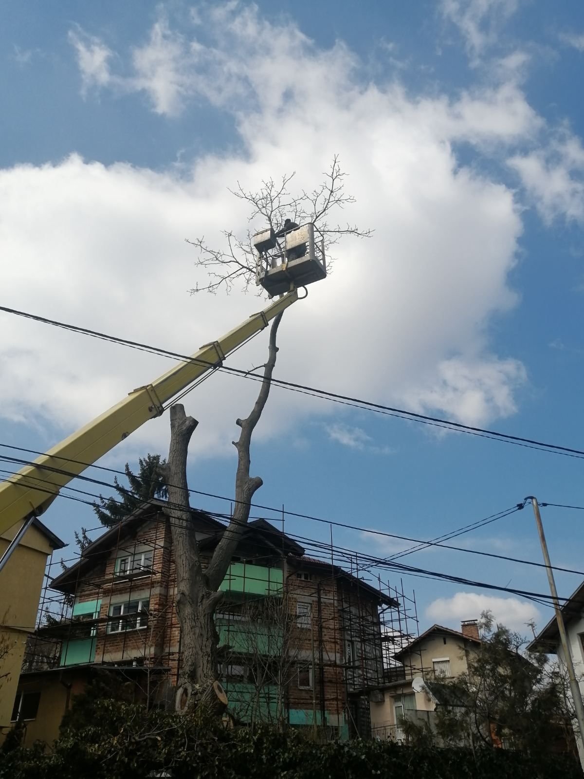 Почистване на парцели дворове Косене на трева рязане на опасни дървета
