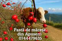 Pasta de macese din Apuseni