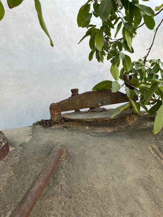 Shesterno sotiladi 10 t