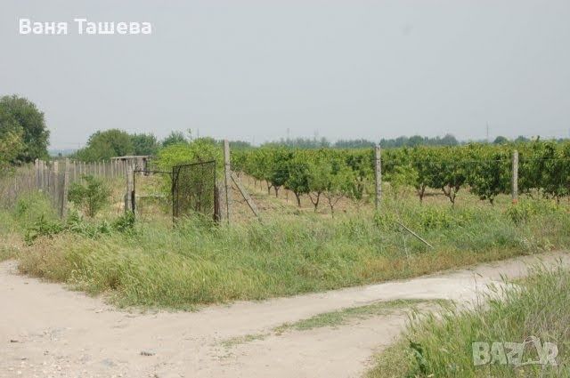 Дава се под наем Парцел в с. Първенец, Област Пловдив - 12000 кв.м за 1275 € - Снимка #1