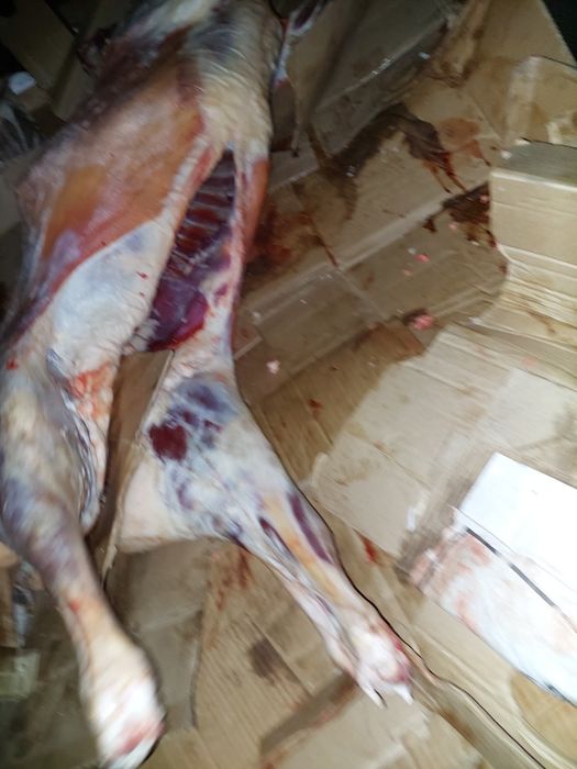 Марка  сатамын семіз