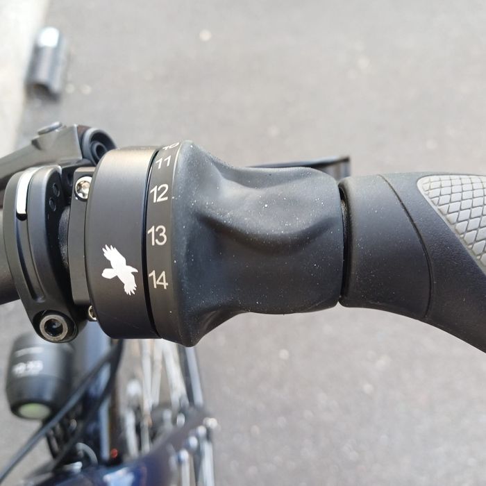 Bicicleta touring drumeții pe curea carbon