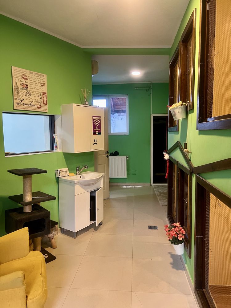 Inchiriere casa 3 camere pentru activitati comerciale