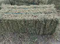 Baloți de lucernă