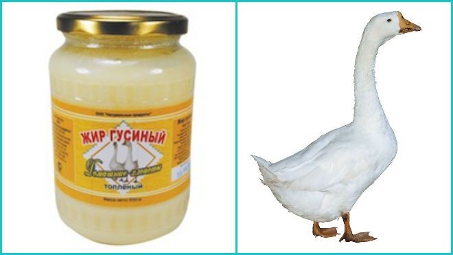 Гусиный жир. Қаздың таза табиғи майы сатылады.
