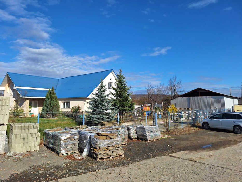 Spatiu comercial. locuinta . Hala