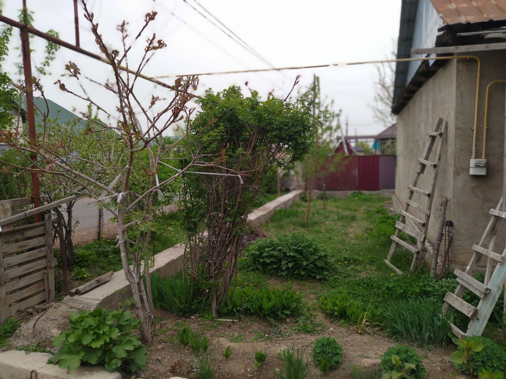 Продоется дом Береке
