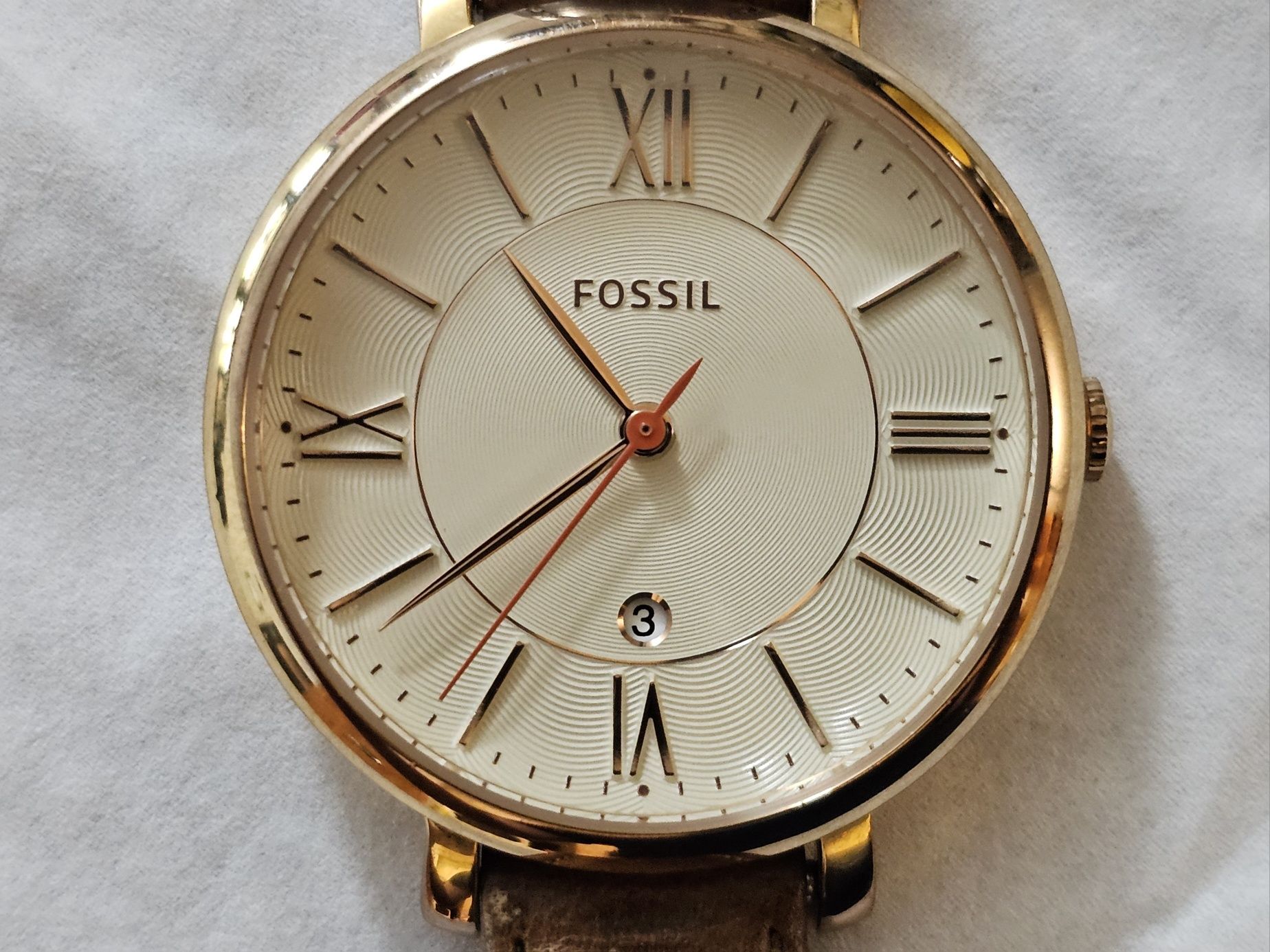 Fossil Jacqueline