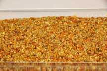 POLEN CRUD 2025-poliflor