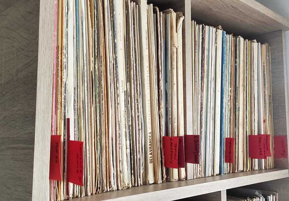 Disc discuri vinil vinyl viniluri LP [FOLK / ROCK / POVESTI / CLASICA]