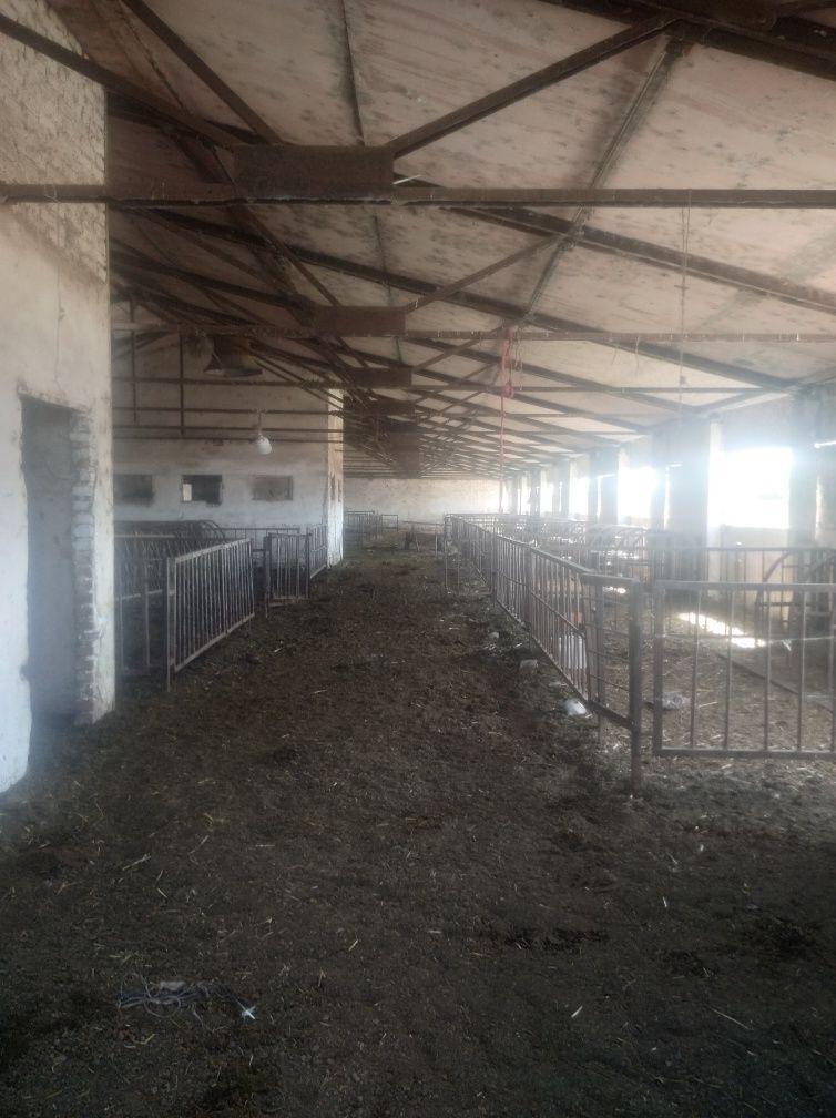 Ferma sotiladi 4 gektar hujati joyida