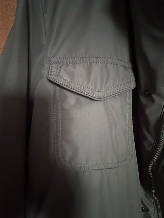 Jacheta  casmir “Falconeri”