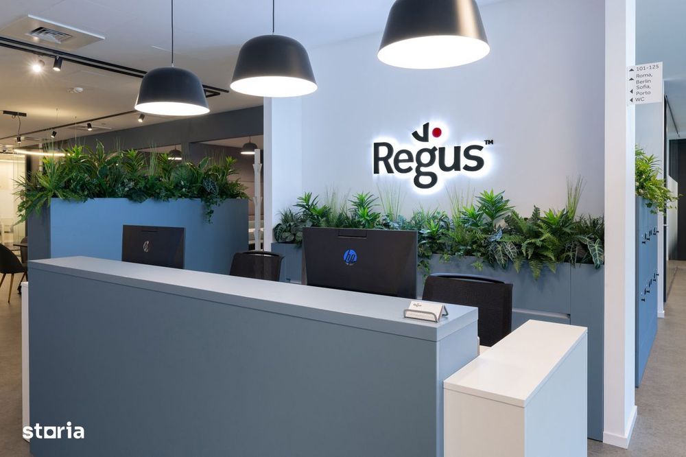 Birou virtual în Regus Iulius Business Centre