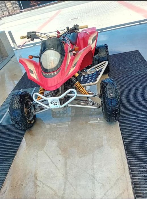 Vand gas gas 450 wild