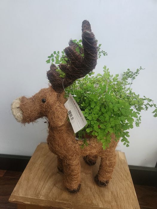 Товары для дома, фигурка декоративная-кашпо