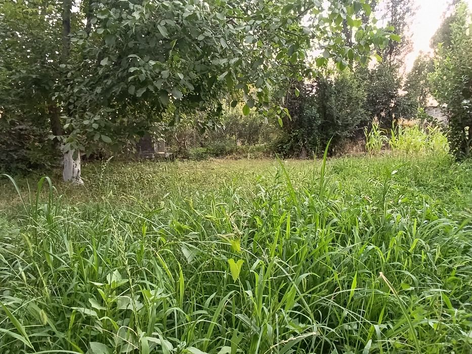 YER SOTILADI 3. SOTIK  Fut sitida 9 km avangart boyqorgon srochna sot