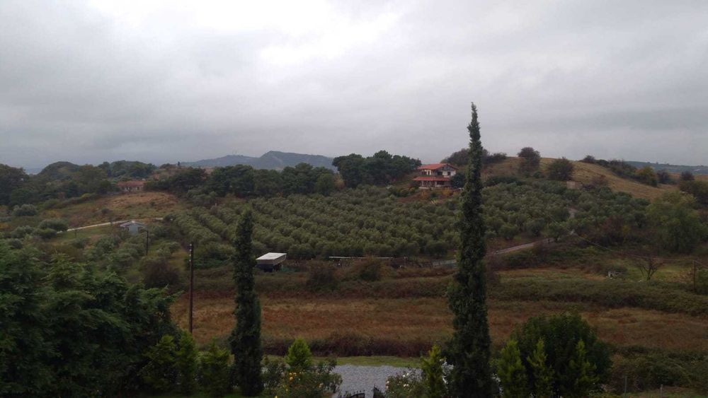 Ulei masline extra virgin brut cu pulpa manastiresc