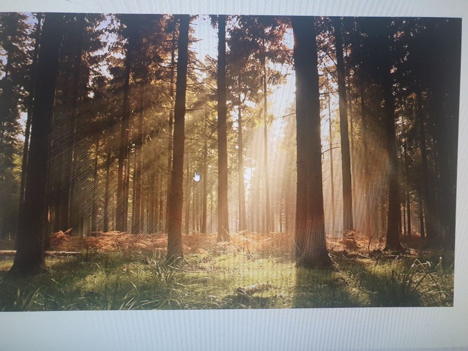 Foto tapet duplex  diferite dimensiuni  și modele!