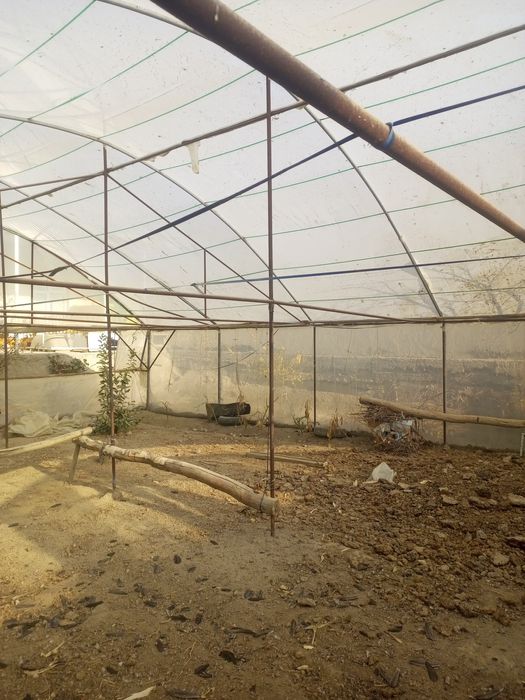 Таййор теплица сотилади Бир ярим сотихга тахланган