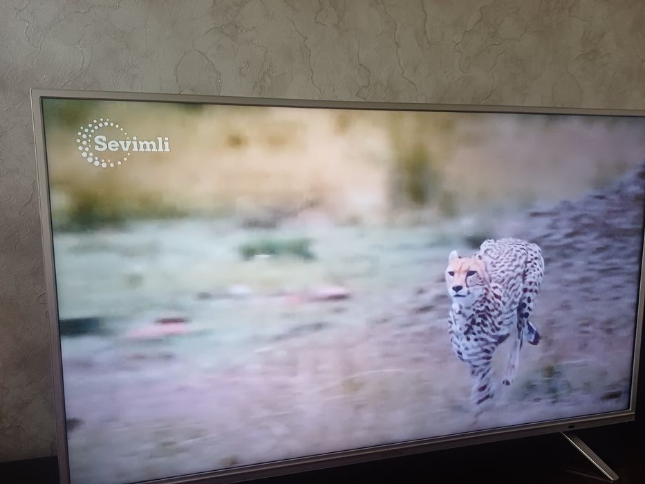 Televizor arzon 55 talik