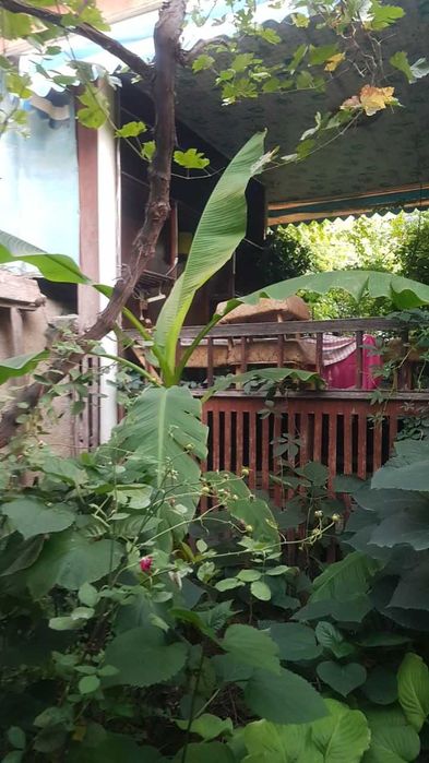 Участок Фрунзе 6 соток +дом на участке