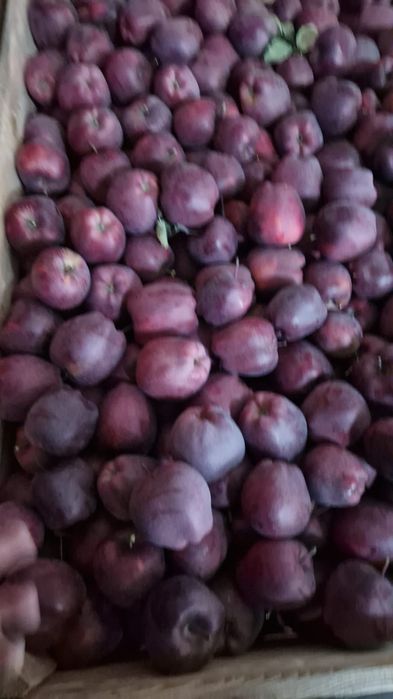 Vând Mere și Cartofi