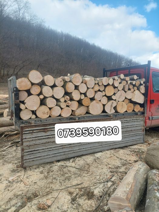 Lemn pentru foc esență tare stejar fag carpen