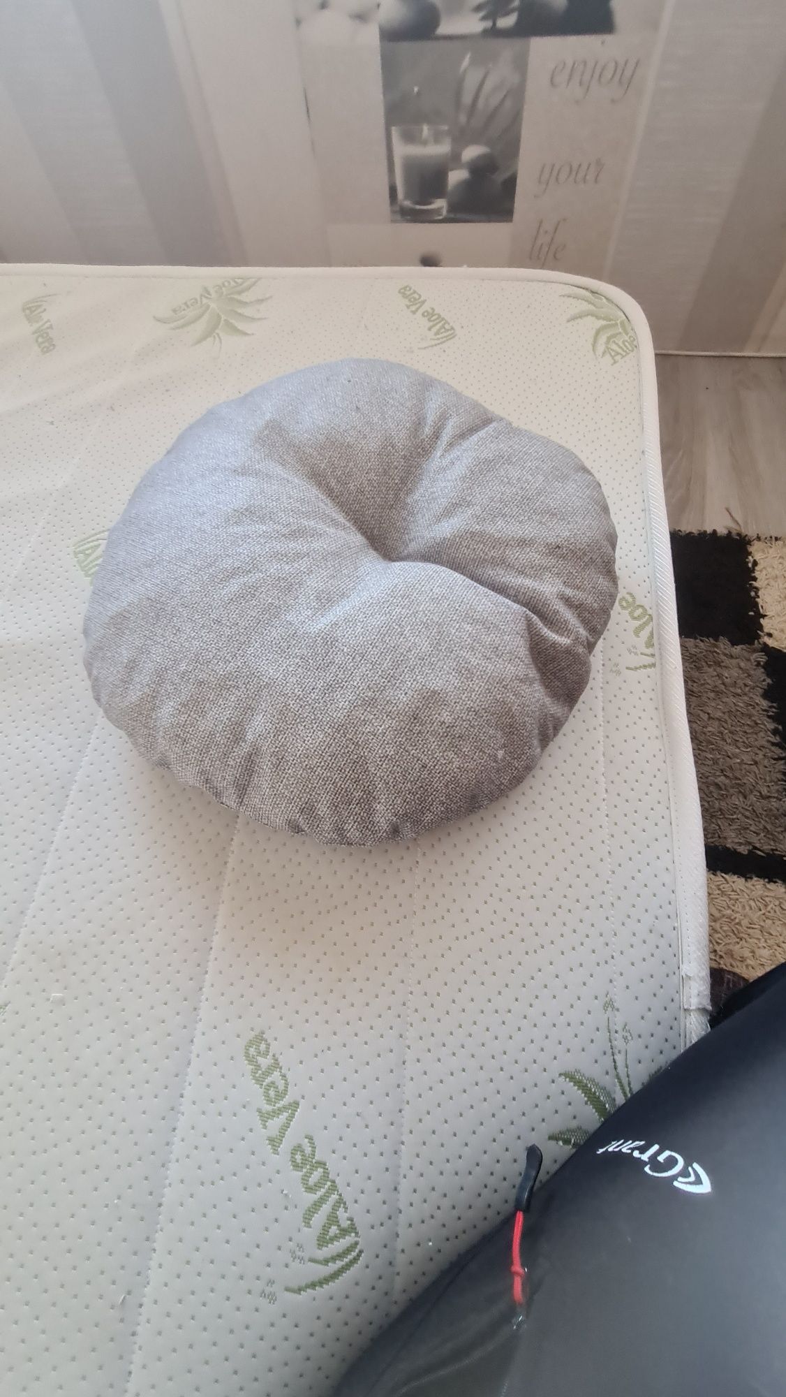 Котешко или кучишко легло