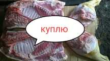 Мясо свинина домашняя