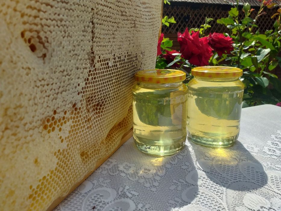 Miere de salcam 40, poliflora 30 si rapita 30 productie propie