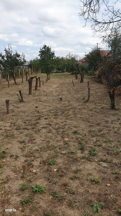 Teren de vânzare Jilava aproape de podul de la Centură, 800 mp, utilit