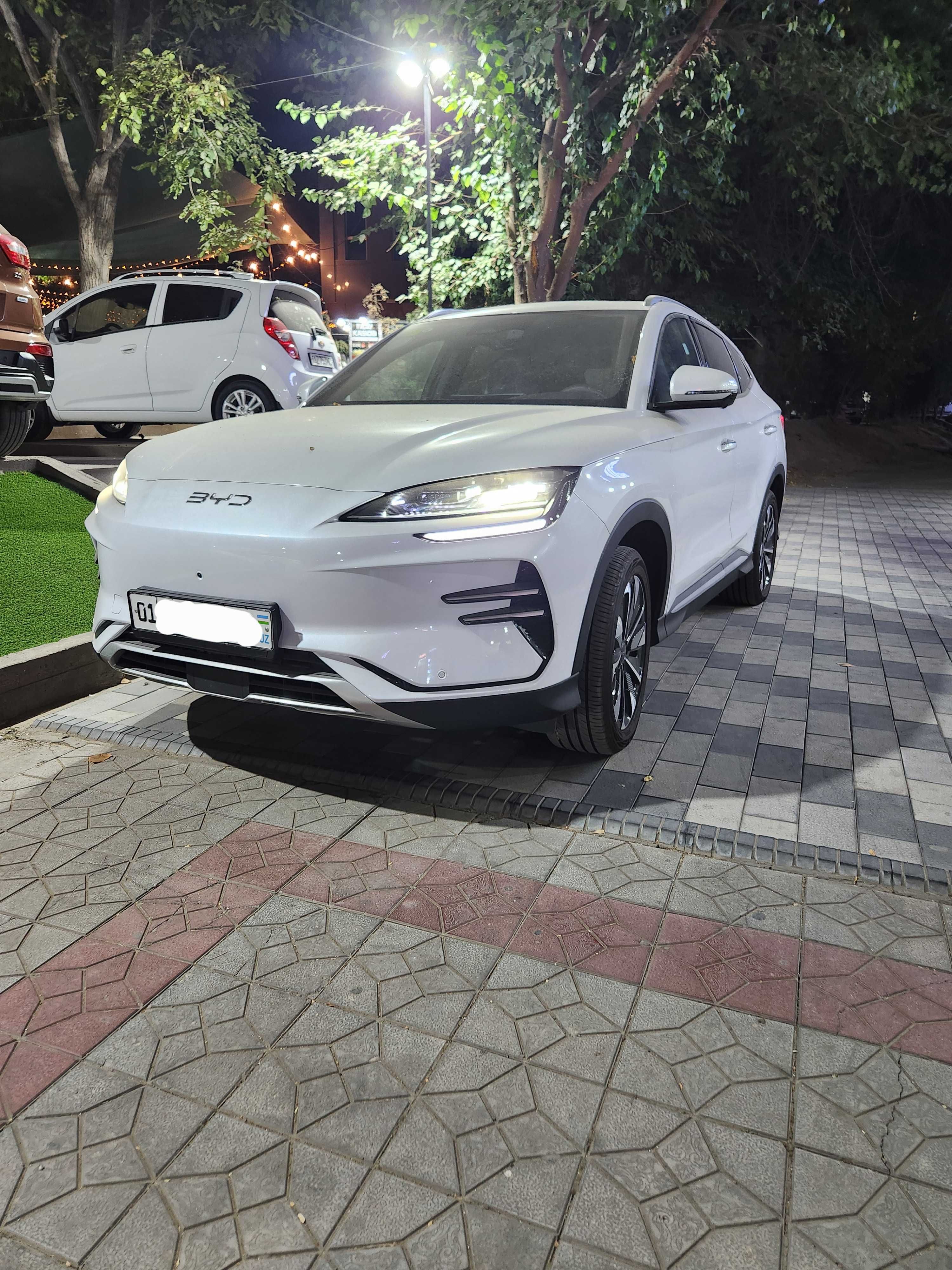 BYD Chempion EV 2024/2025 Restyling 605