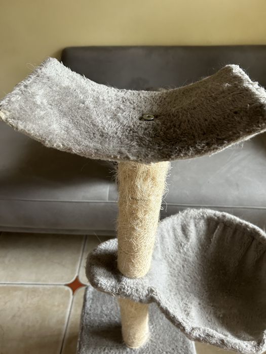 Котешка катерушка в добро състояние