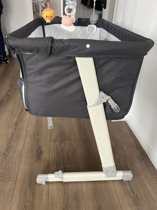 Patut bebelus lionelo