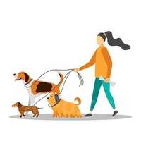 Прогулка с собакой