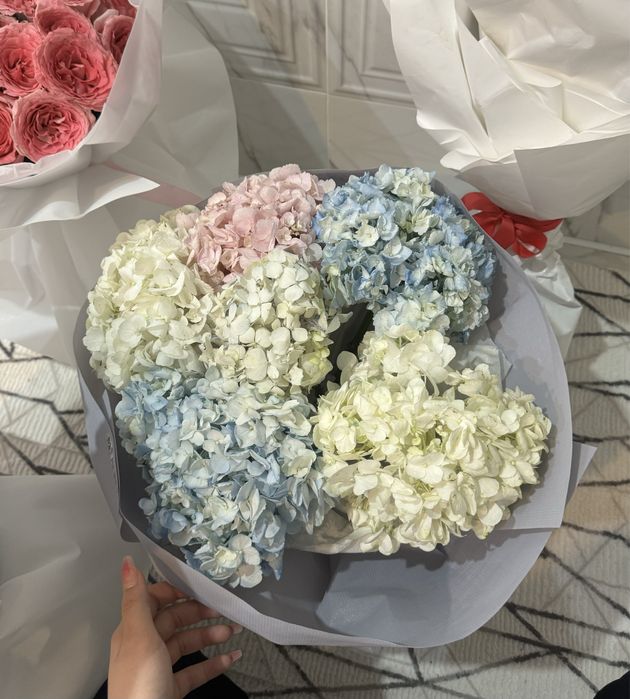 гортензия букеты цветы продаются цена по договору
