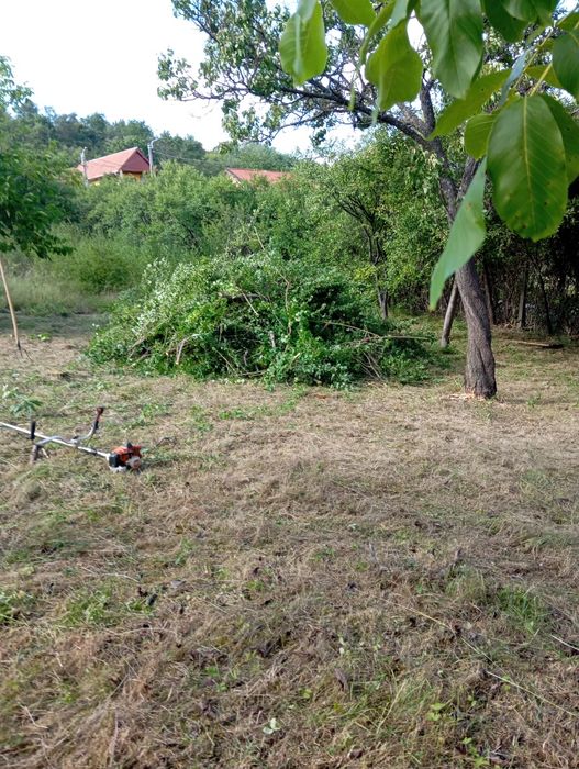 Executam defrișări, toaletări copaci,cosit iarba.Realizam debarasări