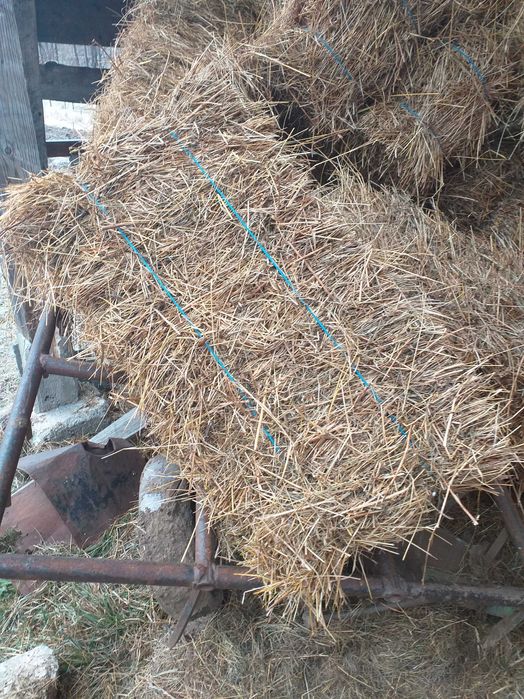 Baloti fin drepunghiular