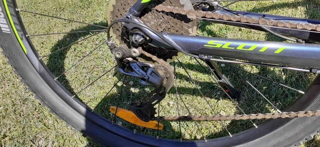 Scott Aspect 29"
