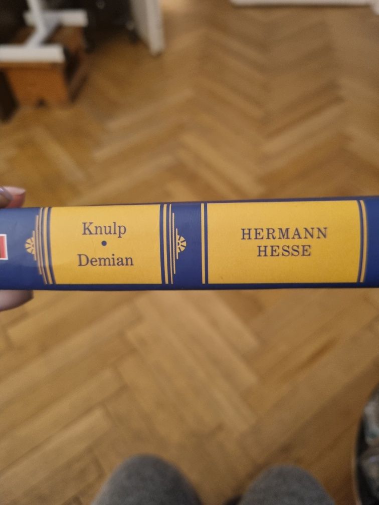 Herman hesse Demian