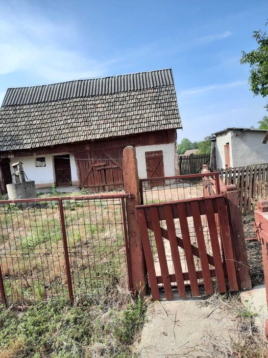 Casă spațioasă + 1 ha teren + anexe gospodărești – Dindești-Satu Mare!
