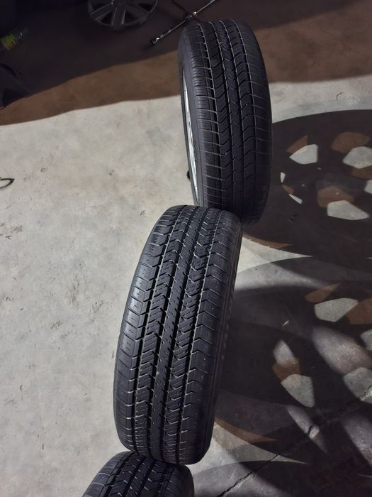 Diska balon. ,jentra saka arginal