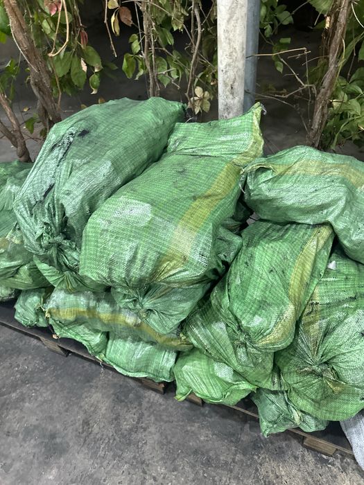 киргиз, ангрен, козок комрлари бор