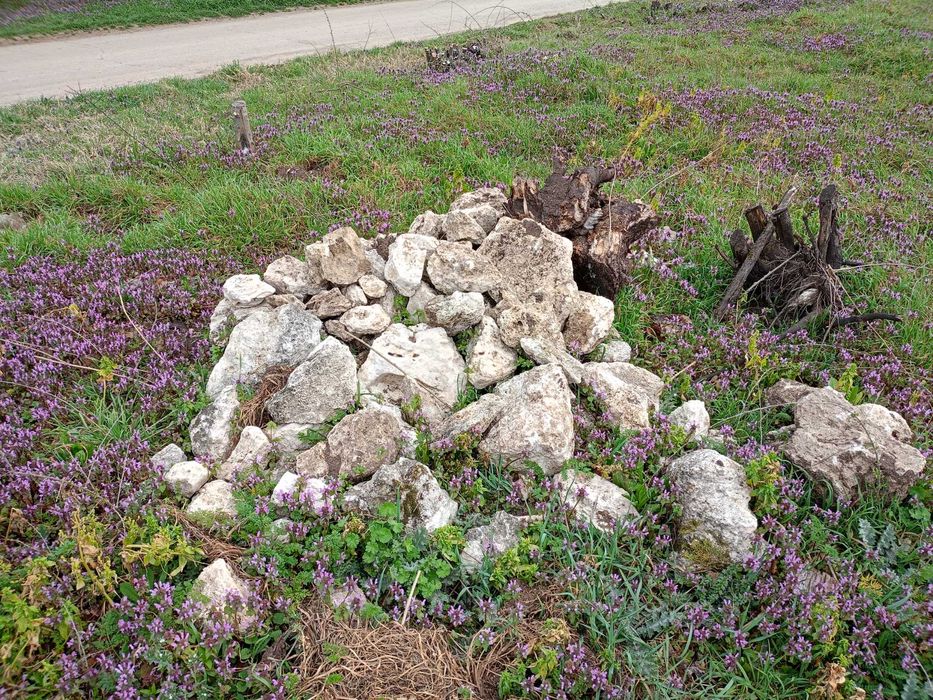 Подарявам камъни